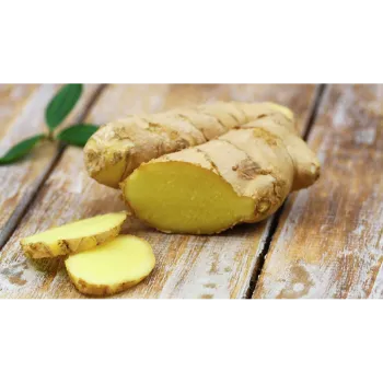 Ginger (16)-1244362-98557.webp